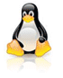 linux hosting